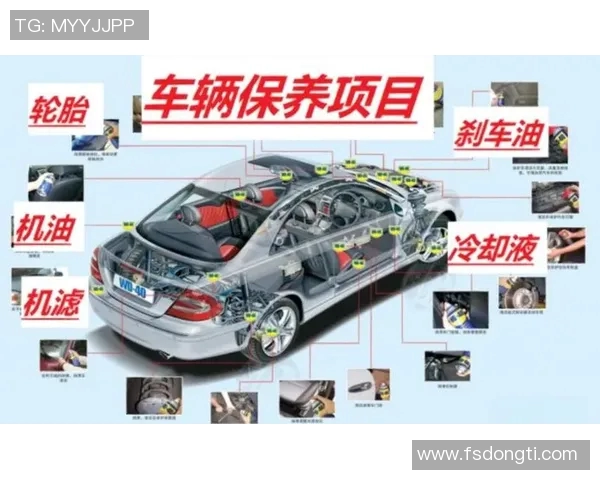 全面解析汽车保养技巧与常见问题解决方案助你延长爱车使用寿命