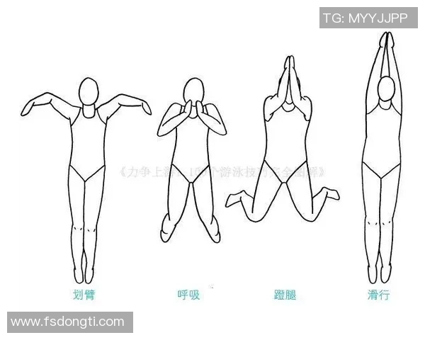 蛙泳技巧解析与训练方法深入探讨提升游泳水平的实用指南