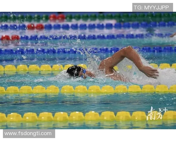 自由泳训练技巧与体能提升全面解析助力游泳水平突破