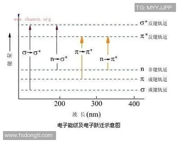 TES在世界大师赛中的比赛经验分析与表现评估